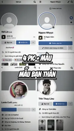 4 pic + màu