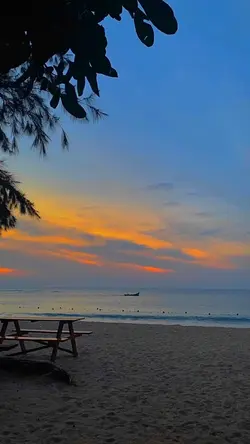 sunset vibes