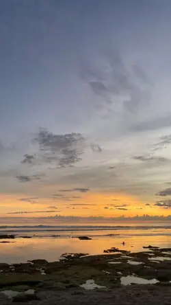 paradise