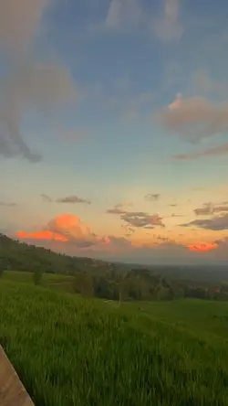 Vlog estetik