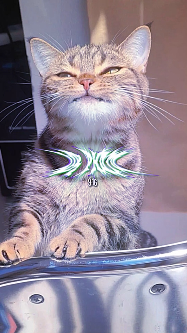 วันนี้ตื่นกันกี่โมงคะ-!