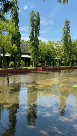 Cinimatic banjir 