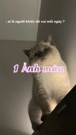 Mẫu khoe ngiuuu