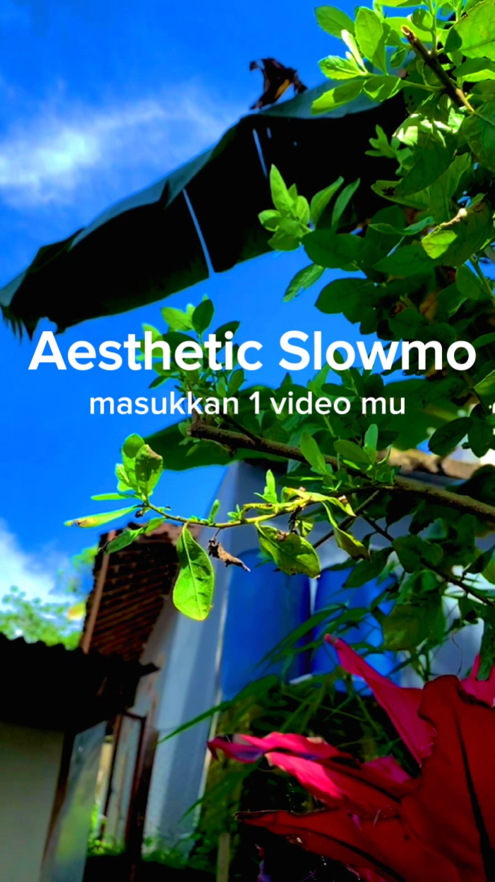 Aesthetic Slowmo 