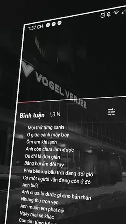 Mẫu 1 ảnh lyrics+màu