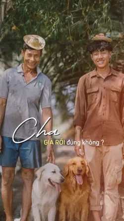 Cha già rồi đúng ko
