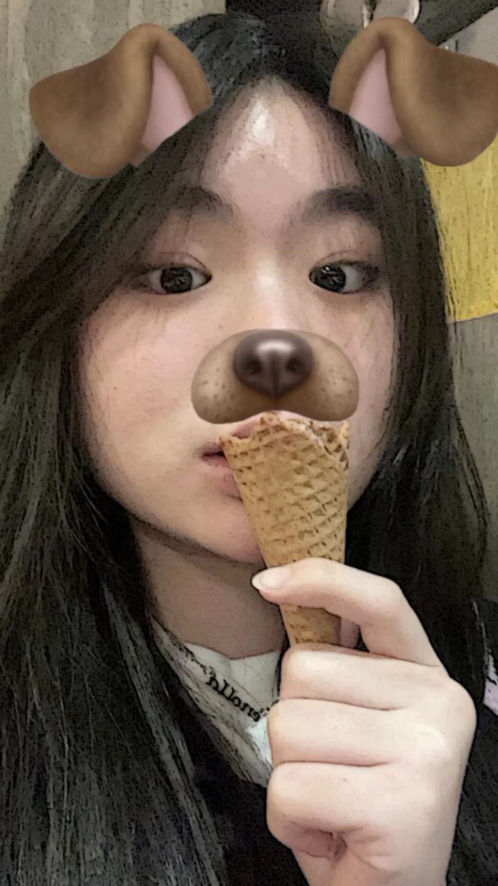 Perro nya bisa digsr