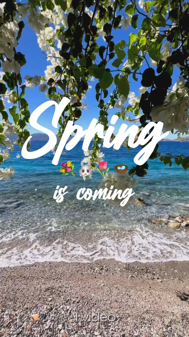 봄이 온다 💐🐰🌷