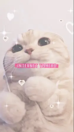 INTERNET YAMERO🛜
