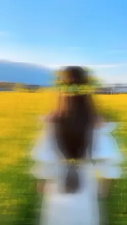 Habibi ไม่มีโทน