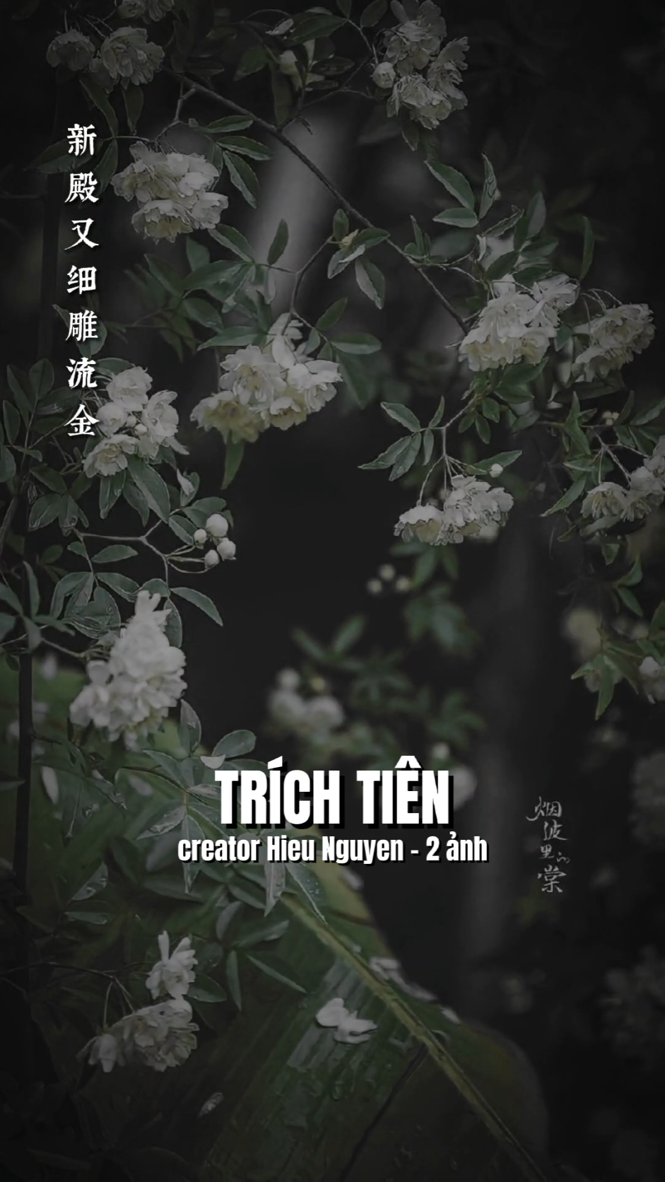 Tr😍CH TI😍N