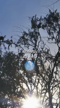 Aesthetic 45 detik
