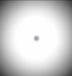 Two birds on a wire.