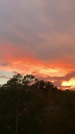 1 video
