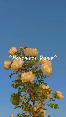 N0vember 