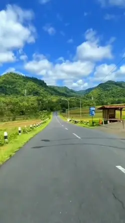 transisi video