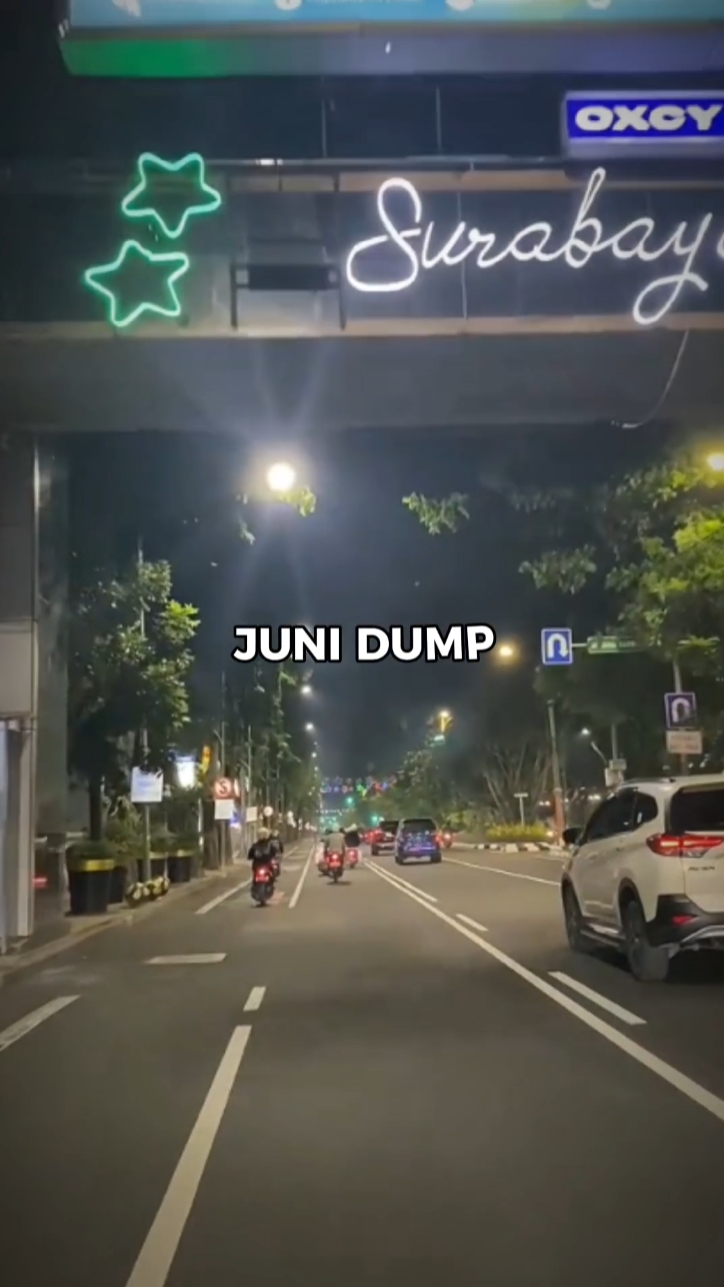 Juni Dump