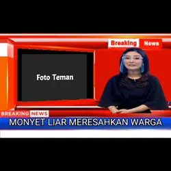 Monyet Liar