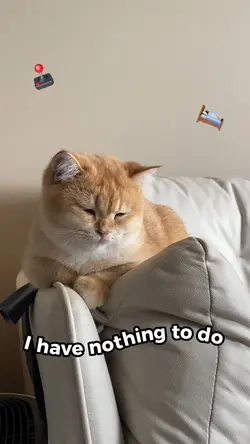 Nothing 2 do