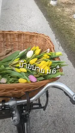 บ๊ายบายม.6