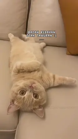 otak tawuran