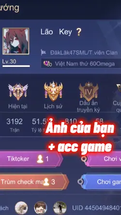 Mẫu liên quân v231