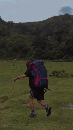 seluruh kota