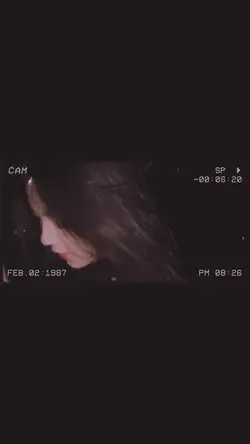 Fly Me To The Moon