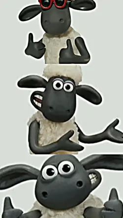 #DjShaunTheSheep