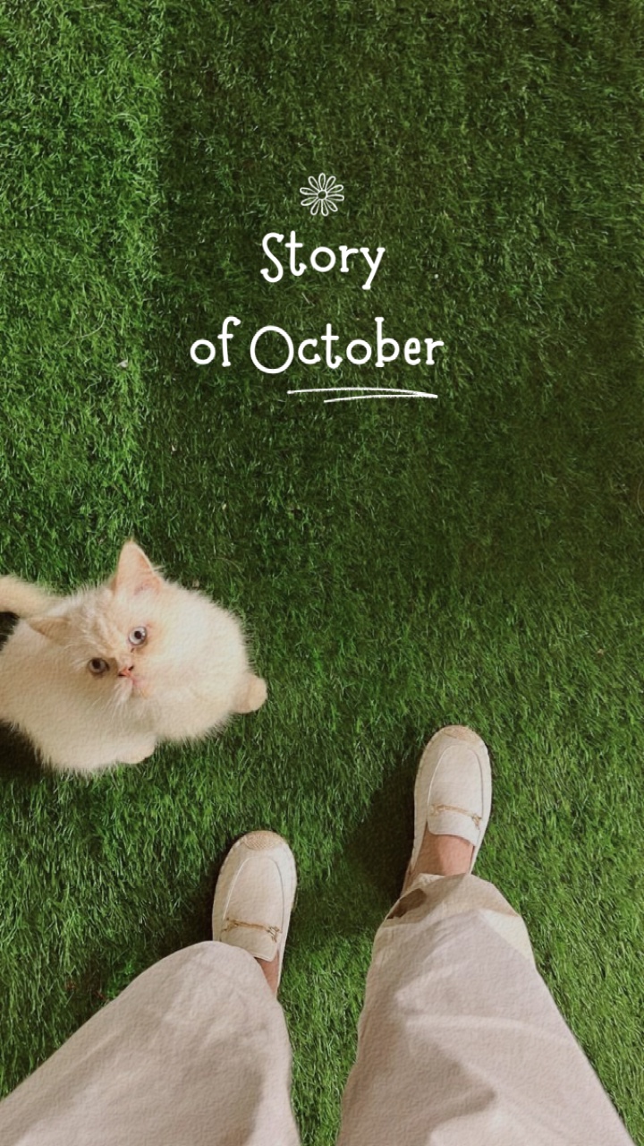 Historia del 45 de octubre