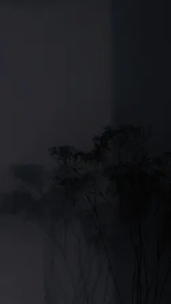 𝙇𝙮𝙧𝙞𝙘𝙨+𝙈𝙖𝙪