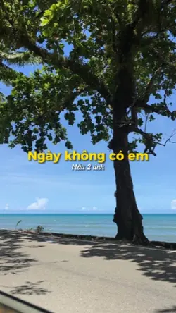 [2] ảnh cuốn