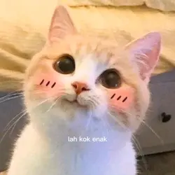 grmoy