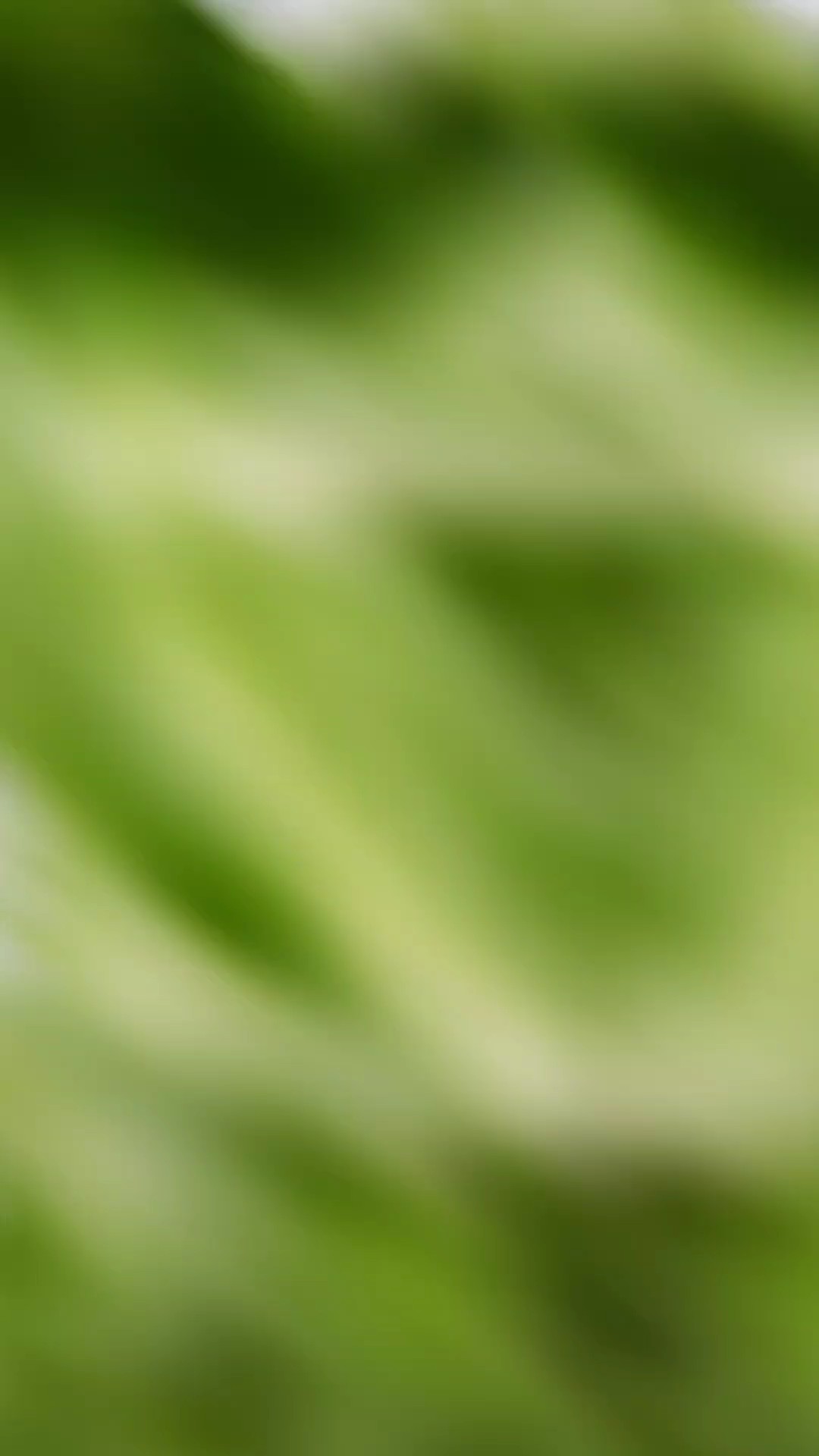 行ってきますなんて大嫌い