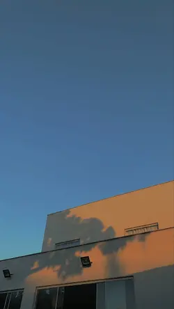1 video + 7 foto