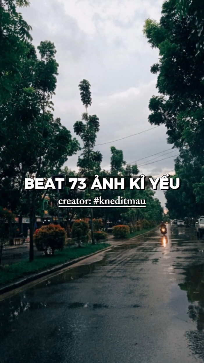 BEAT 73 NH
