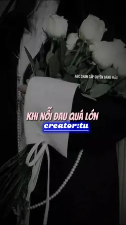 mẫu nhiều ảnh 