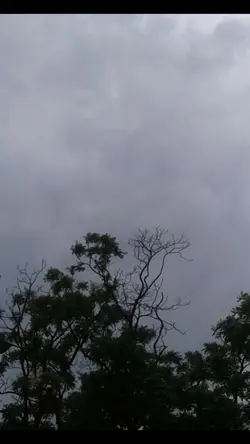 hari nya muru
