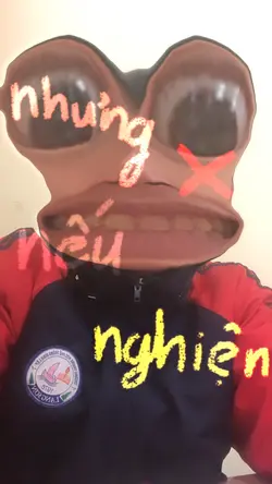 mẫu 2 ảnh troll bb