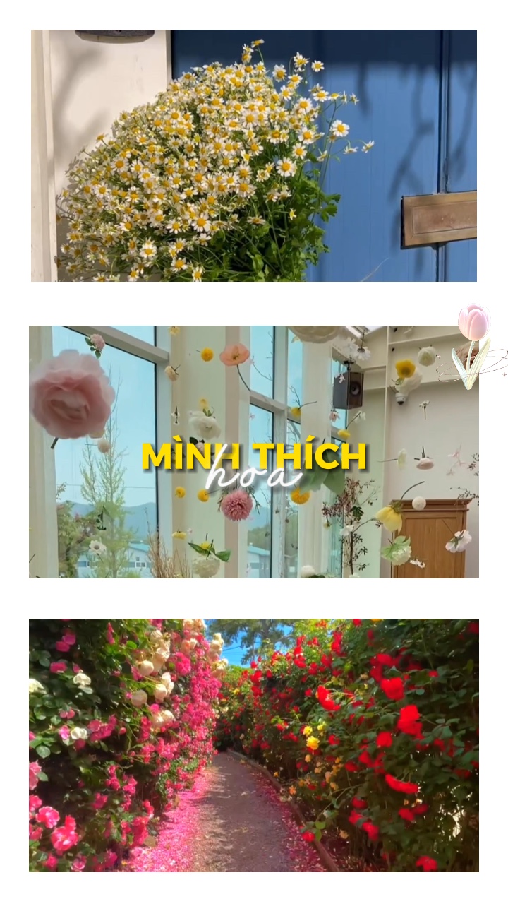 Mình thích hoa