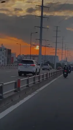 QUẢ PHỤ TƯỚNG