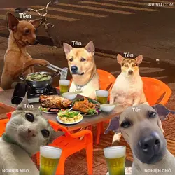 Mẫu hài 1 ảnh