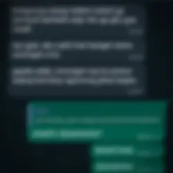 ss chat 