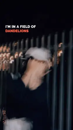 Dandelions Mine