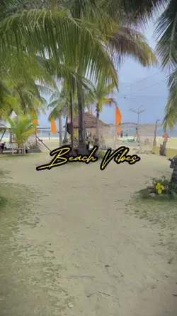 BeachVibes
