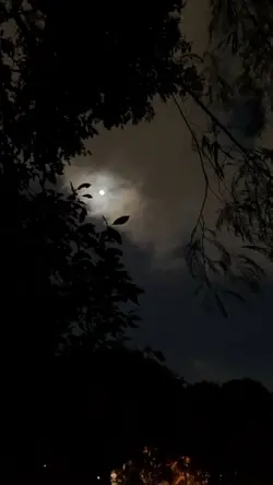 malam estetik 