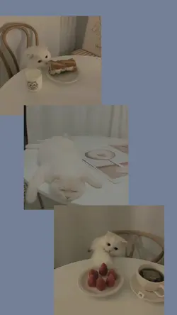 Video x Foto