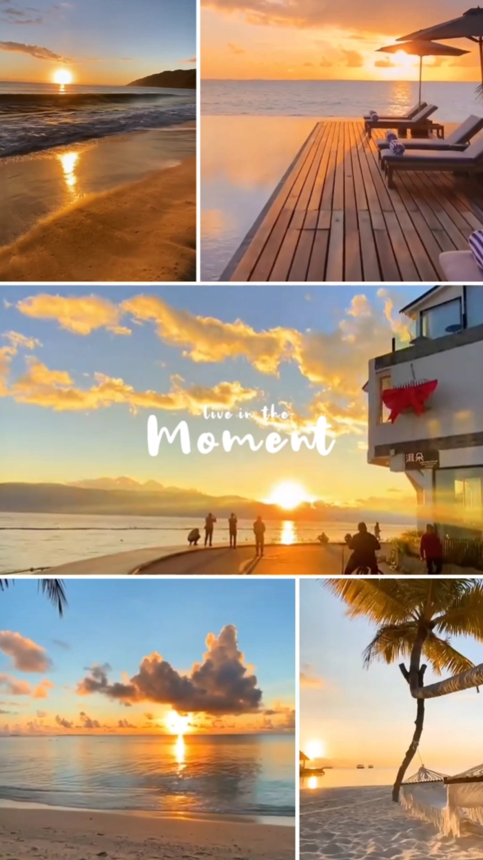 Live in the Moments 