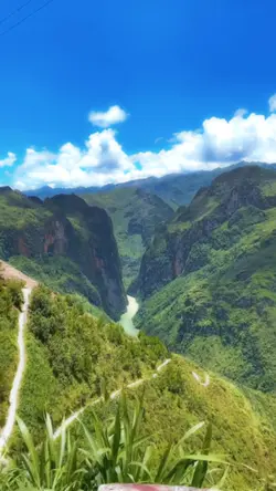 View triệu đô 🥰