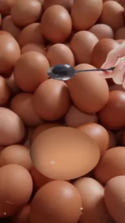 Telur Ajaib